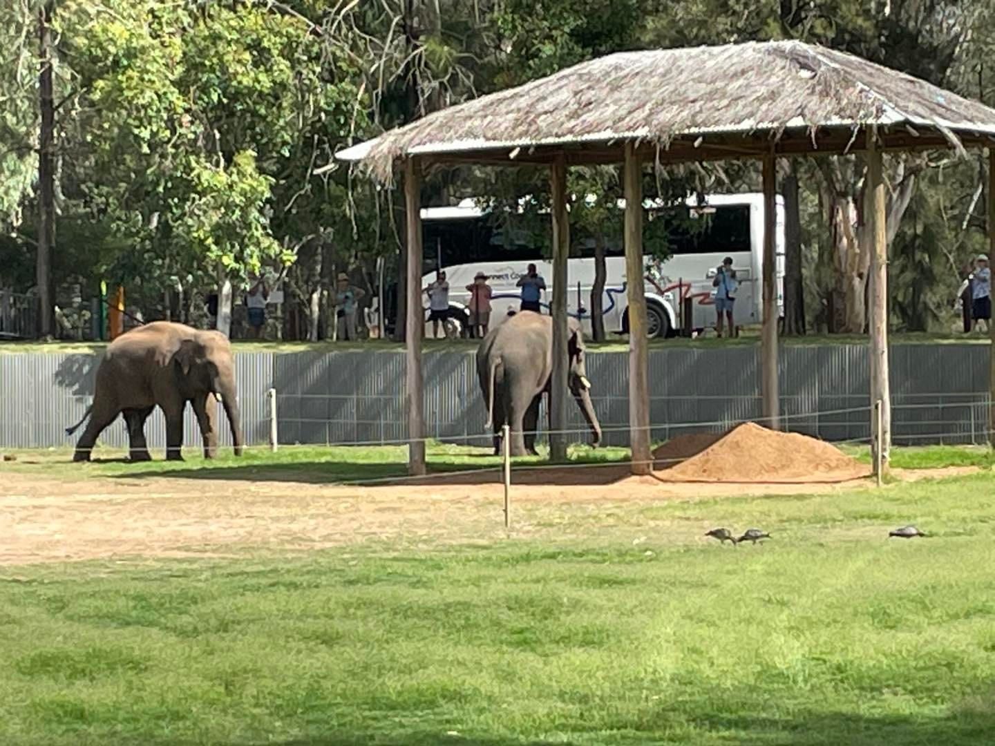 Dubbo Zoo 2025 Image -67de04ab6e6d4